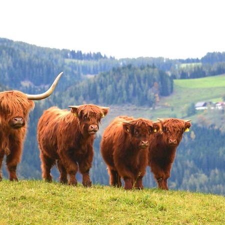 Fruehstueckspension Ochnerbauer Киндберг Экстерьер фото