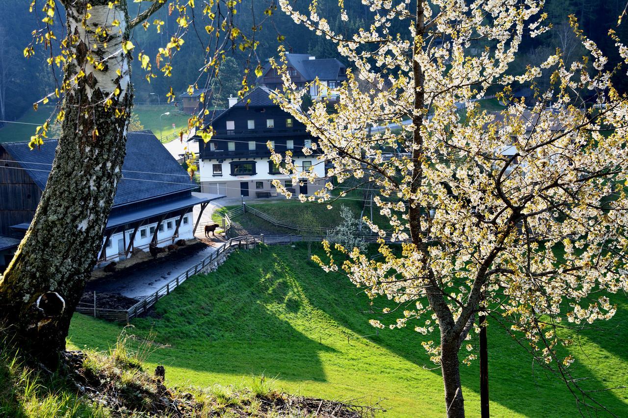 Fruehstueckspension Ochnerbauer Киндберг Экстерьер фото